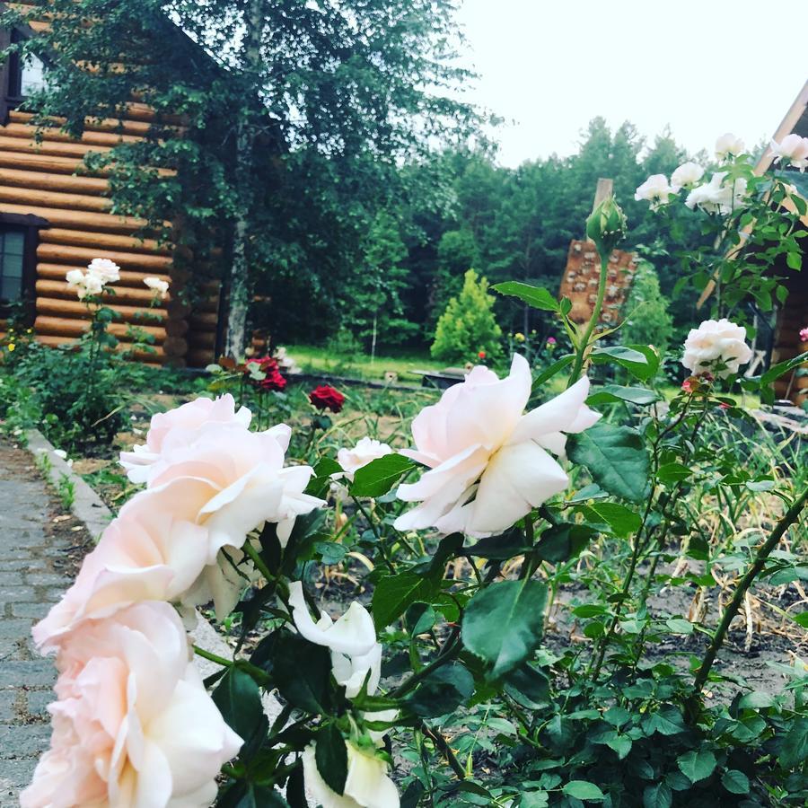 Gostynna Sadyba Kit Bayun Teterivka Buitenkant foto