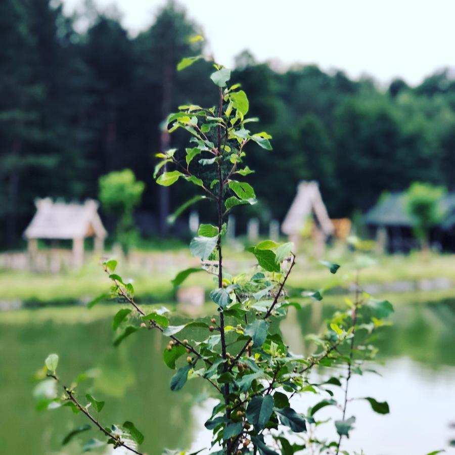 Gostynna Sadyba Kit Bayun Teterivka Buitenkant foto